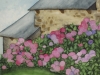 Haus mit Hortensien (zu verkaufen)