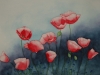 Mohnblumen 3 (zu verkaufen)