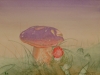 Pilze (verkauft)