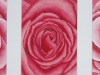 Rosen 2
