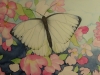 Schmetterling 1
