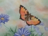 Schmetterling 4 (zu verkaufen)