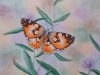 Schmetterling 6 (zu verkaufen)