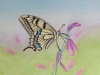Schmetterling 7 (verkauft)