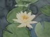 Seerose 2 (verkauft)