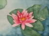 Seerose 4 (verkauft)