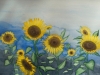Sonnenblumen im Wind